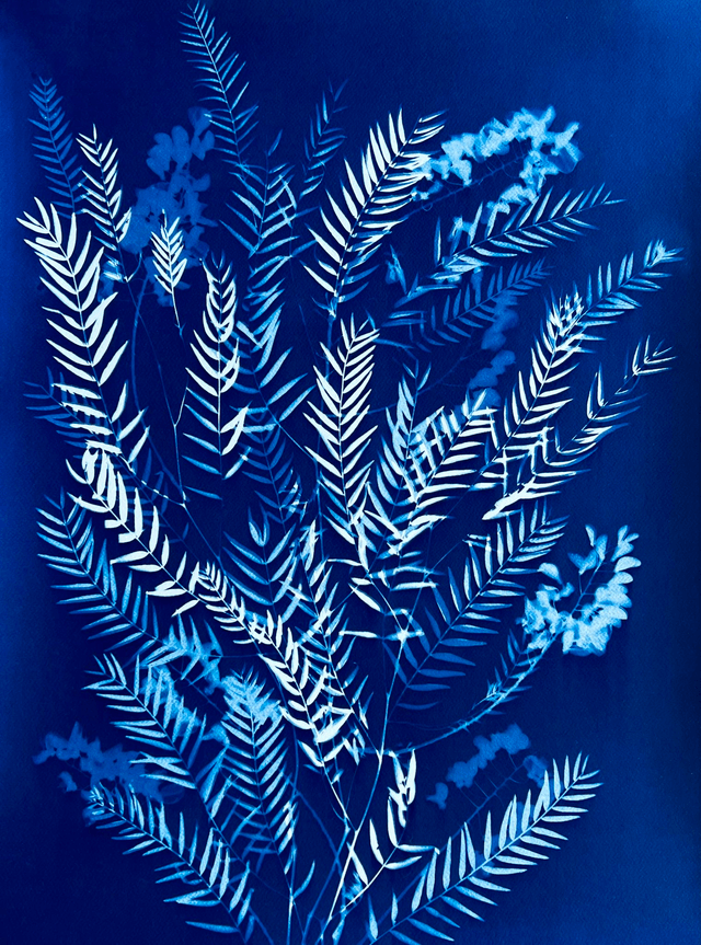"Echappée Varoise" Cyanotype original