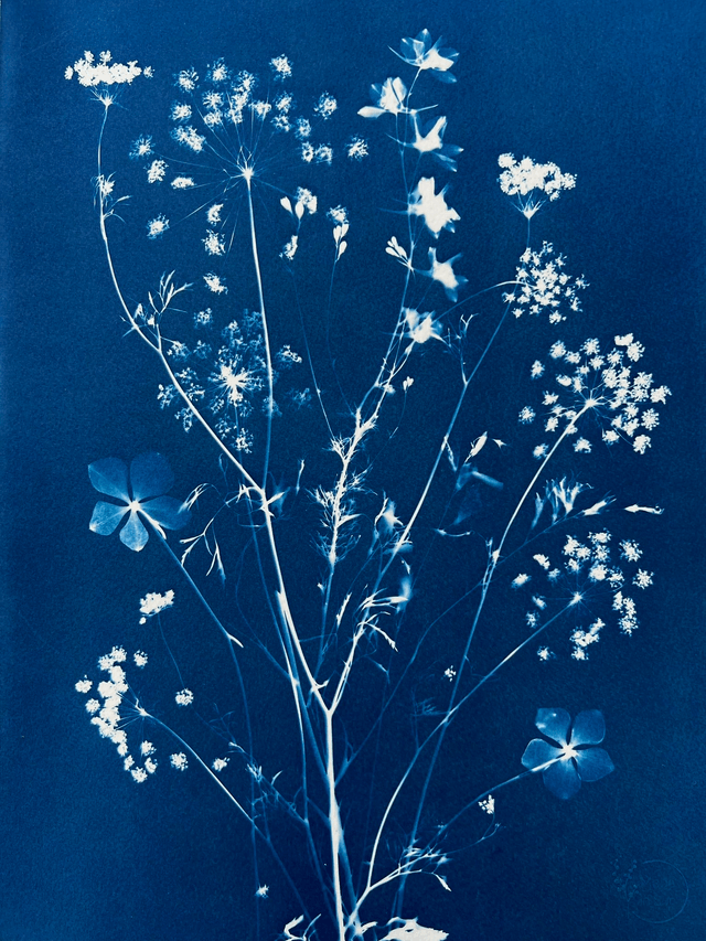 "Entre terre et ciel" Cyanotype original