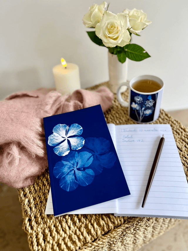 Carnet cyanotype "Trio d'hibiscus"