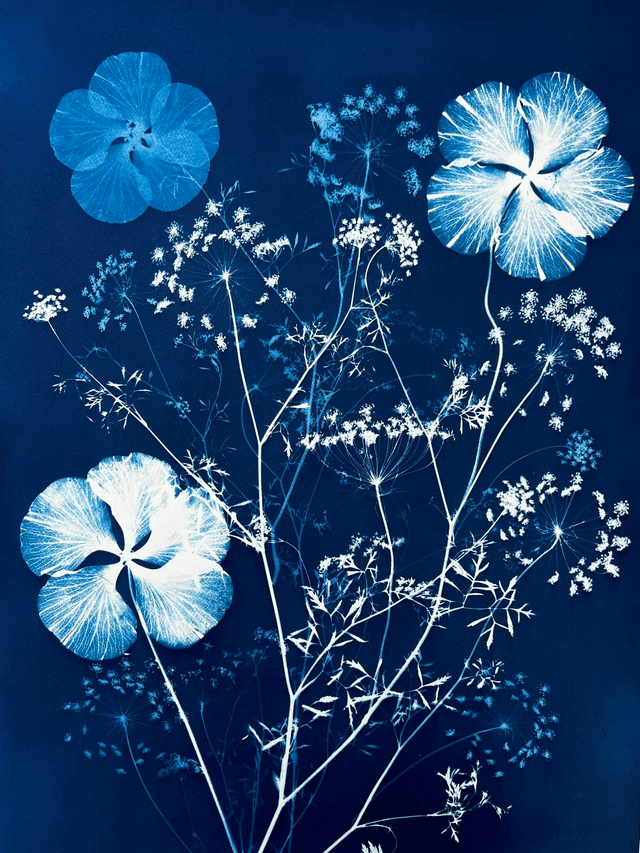 &quot;Merveilleux jardin&quot; Cyanotype original 