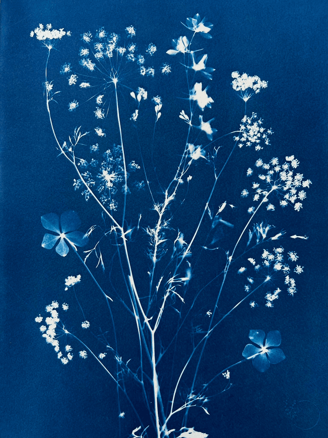 &quot;Entre terre et ciel&quot; Cyanotype original