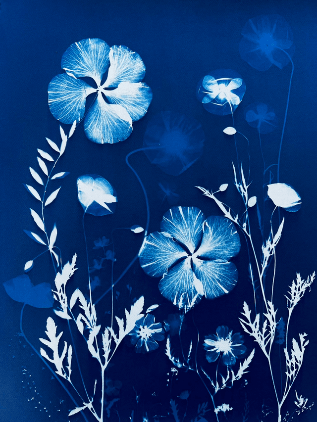 &quot;Un matin au printemps&quot; Cyanotype original 
