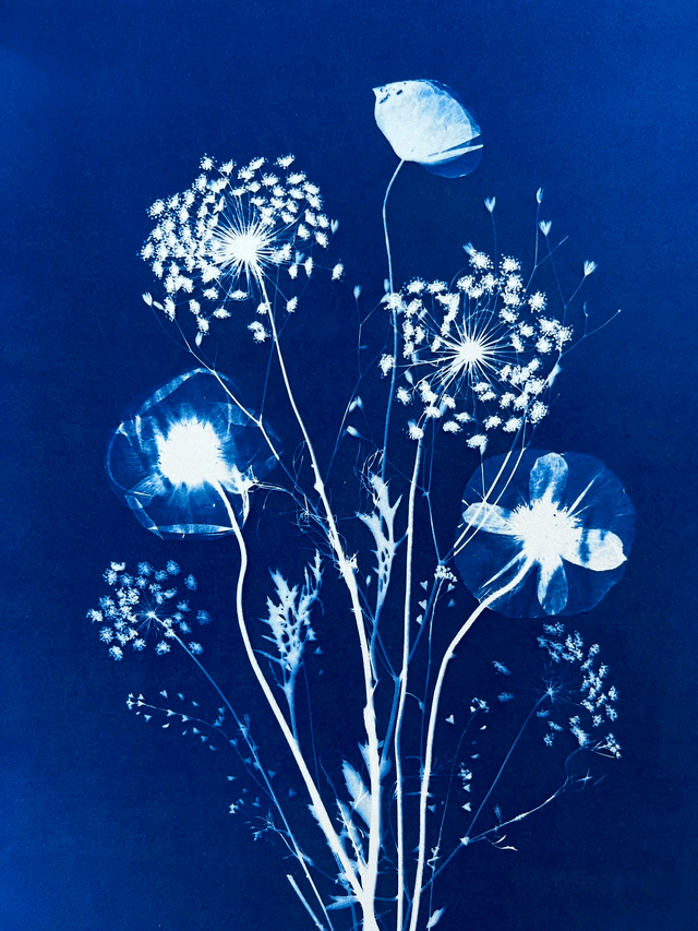 &quot;Souffle d&#039;été&quot; Cyanotype original
